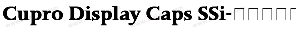 Cupro Display Caps SSi字体转换